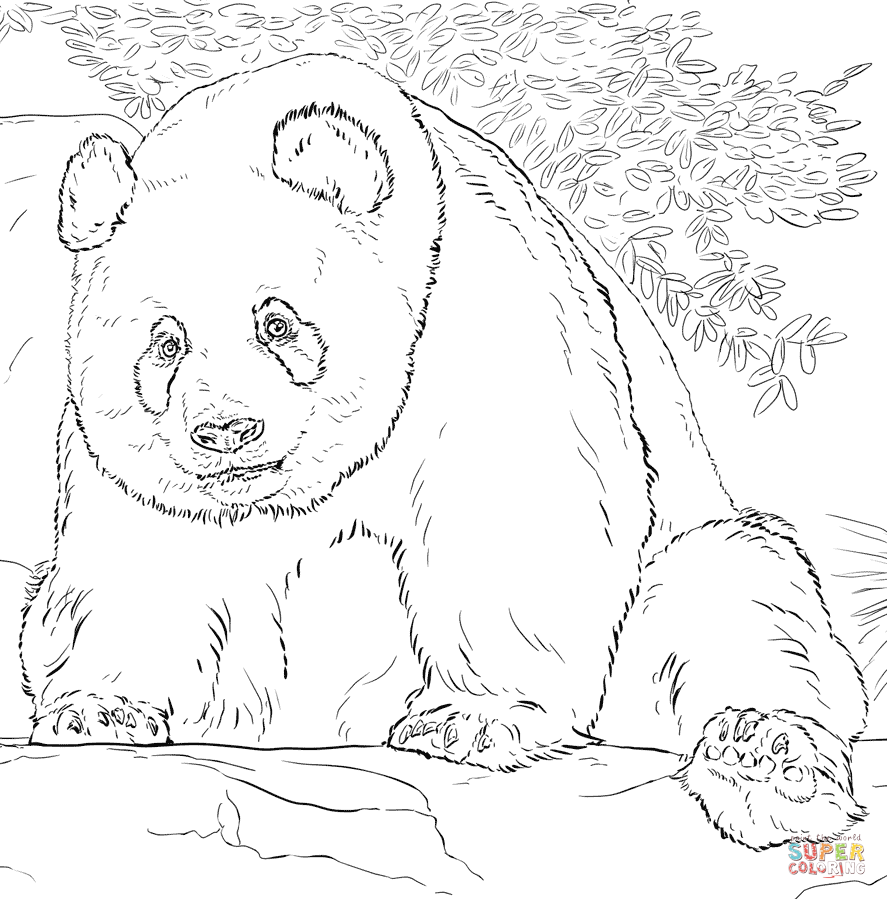 Giant Panda Coloring Page Free Printable