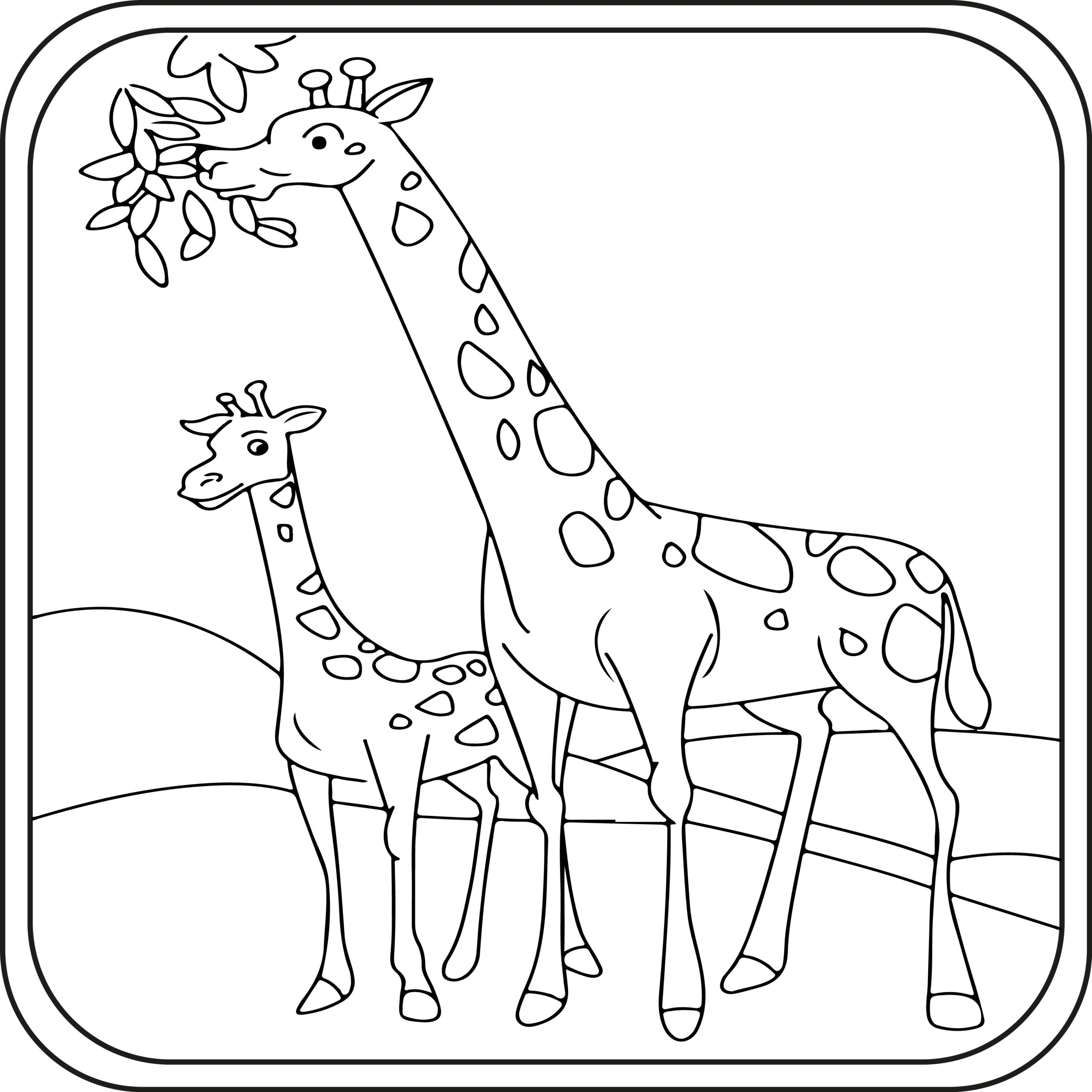 Giraffe Coloring Pages Preschool Kindergarten First Grade Made By Teachers