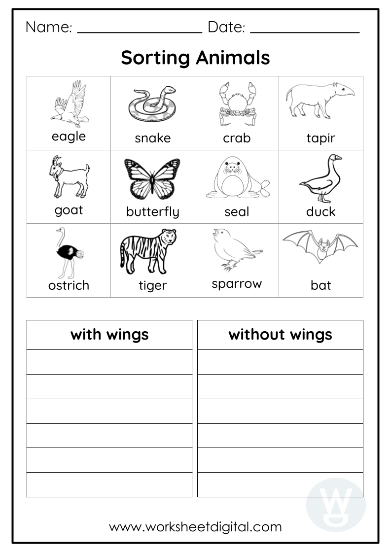 Grade 2 Science Worksheets Grade 2 Science Worksheets