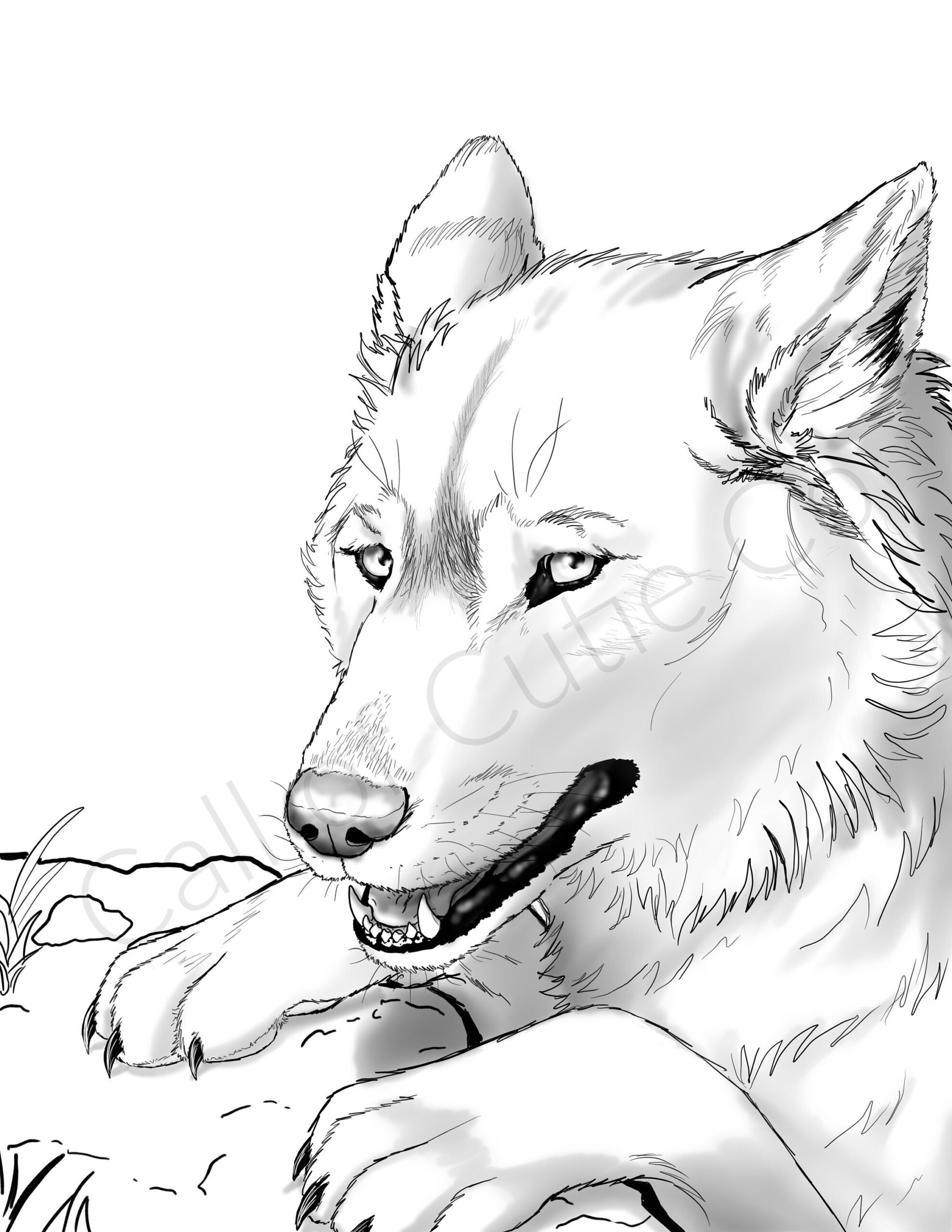 wolf colouring in pages