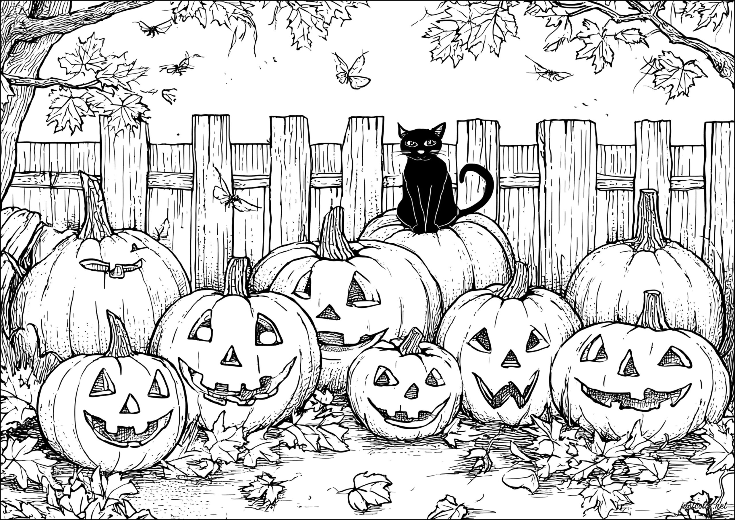 halloween color pages free printable