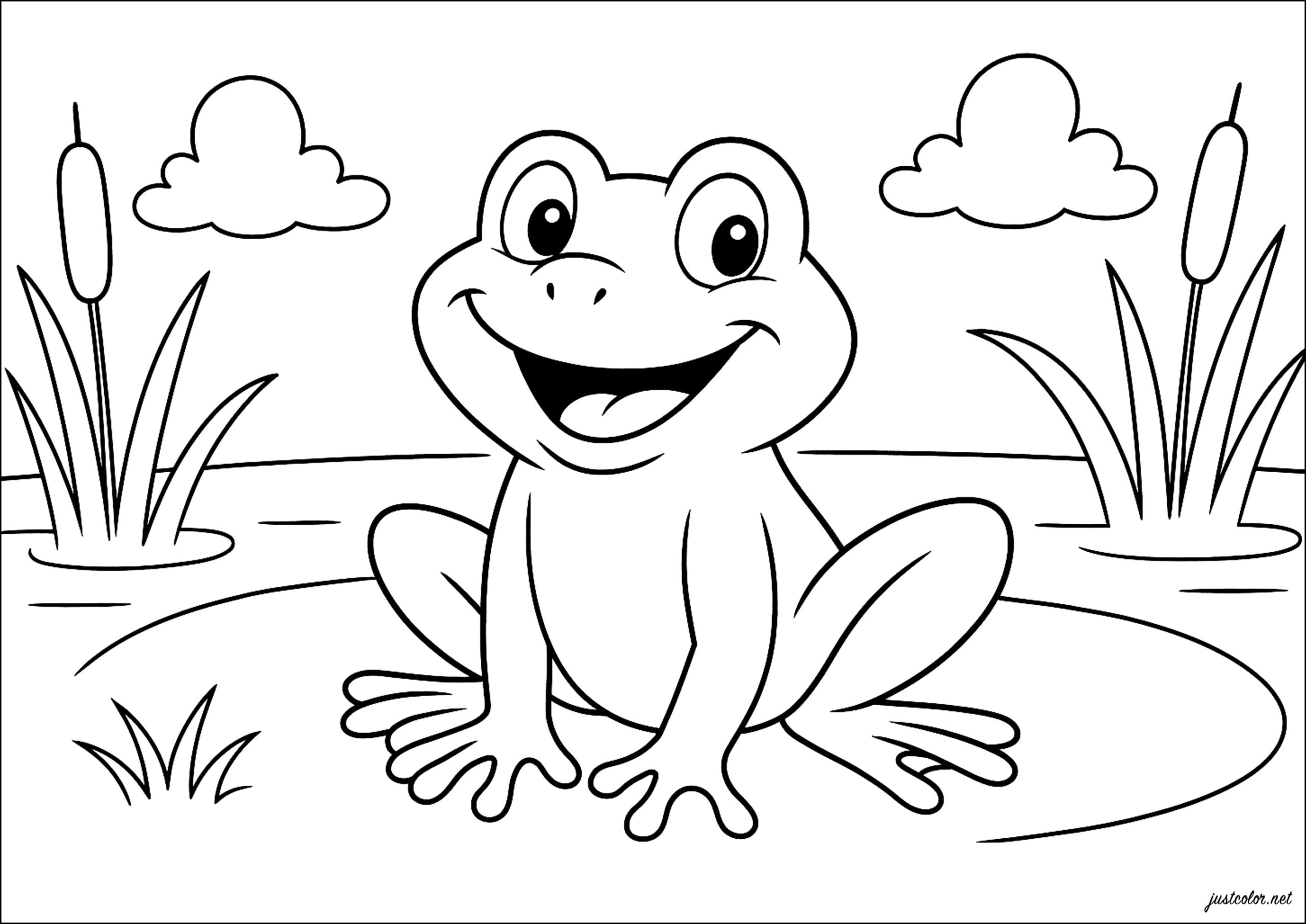 colouring pages of frog