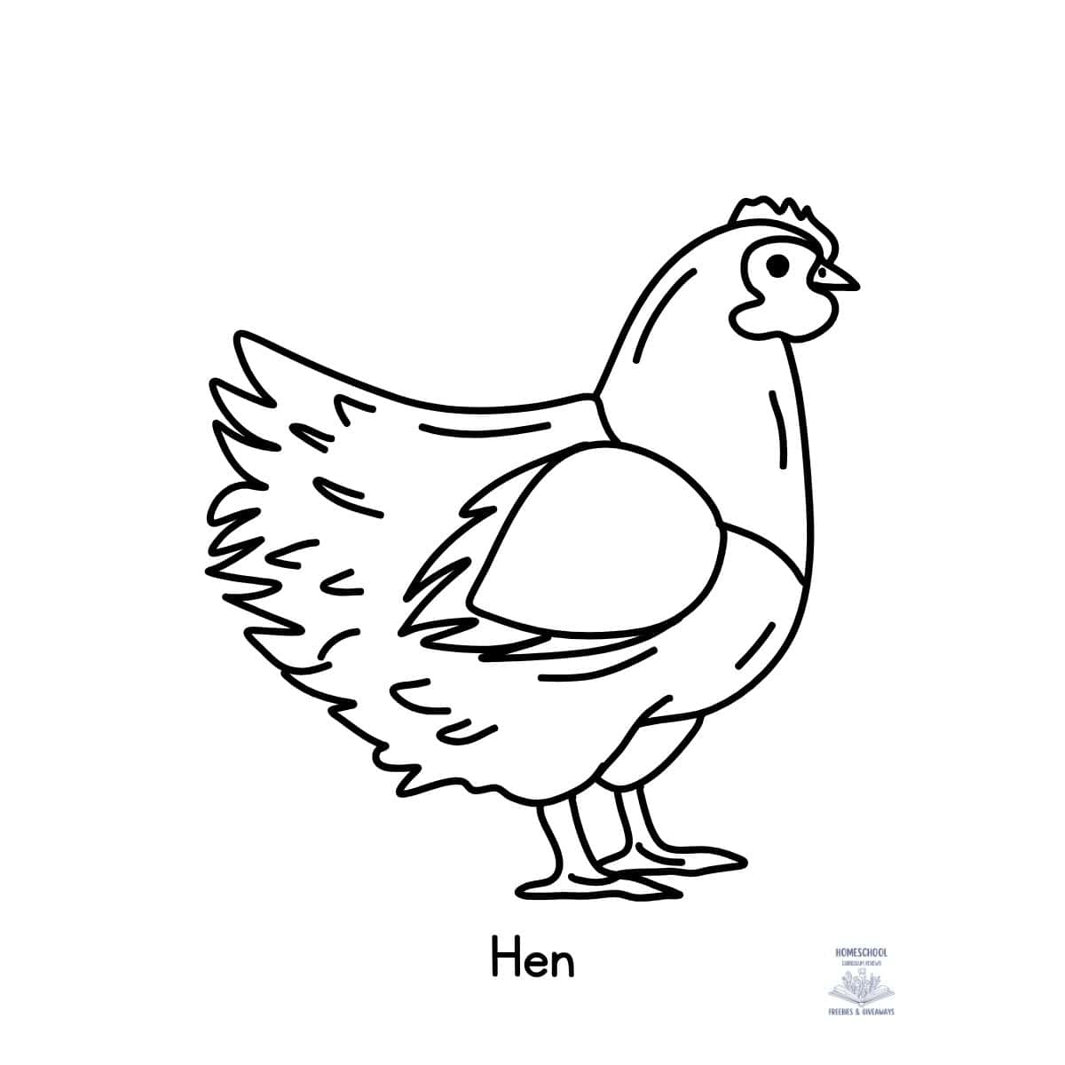 Hen Coloring Page Homeschool Freebies And Giveaways