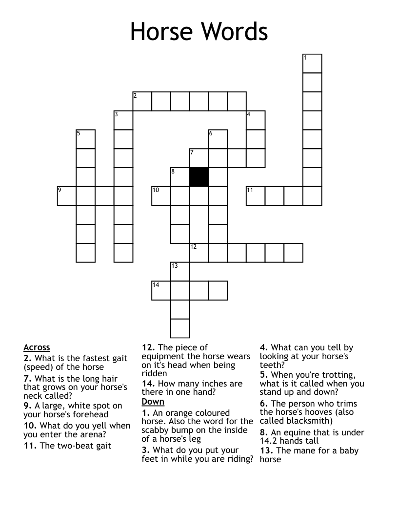 Horse Words Crossword WordMint