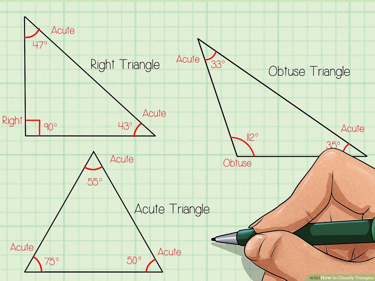 How To Classify Triangles 9 Steps with Pictures WikiHow Life