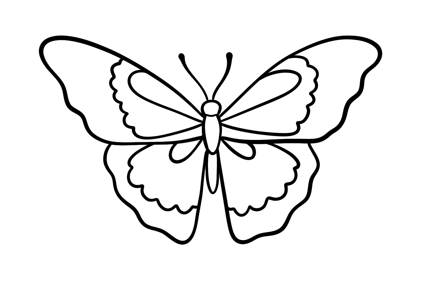 How To Draw A Butterfly Design School