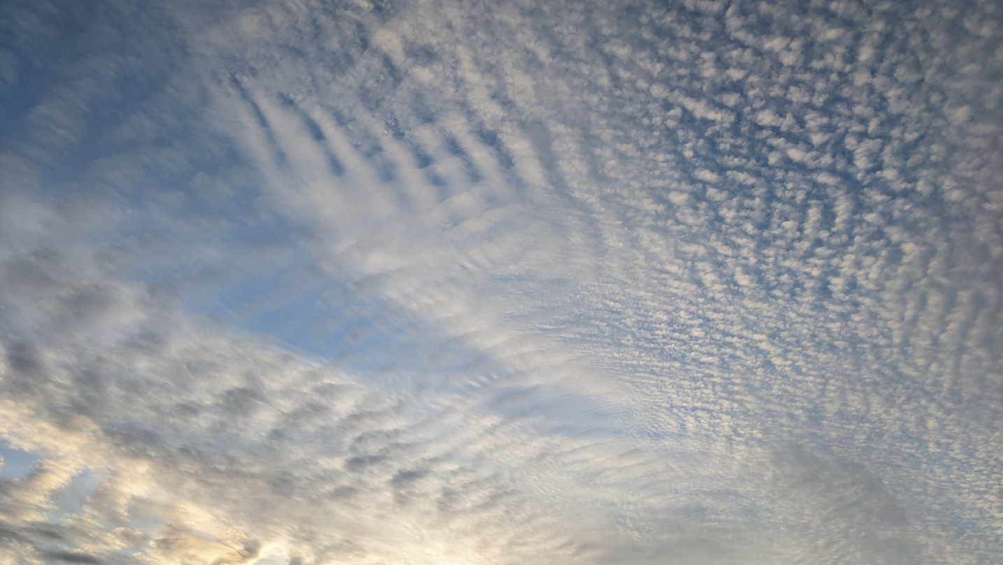 wispy clouds crossword clue