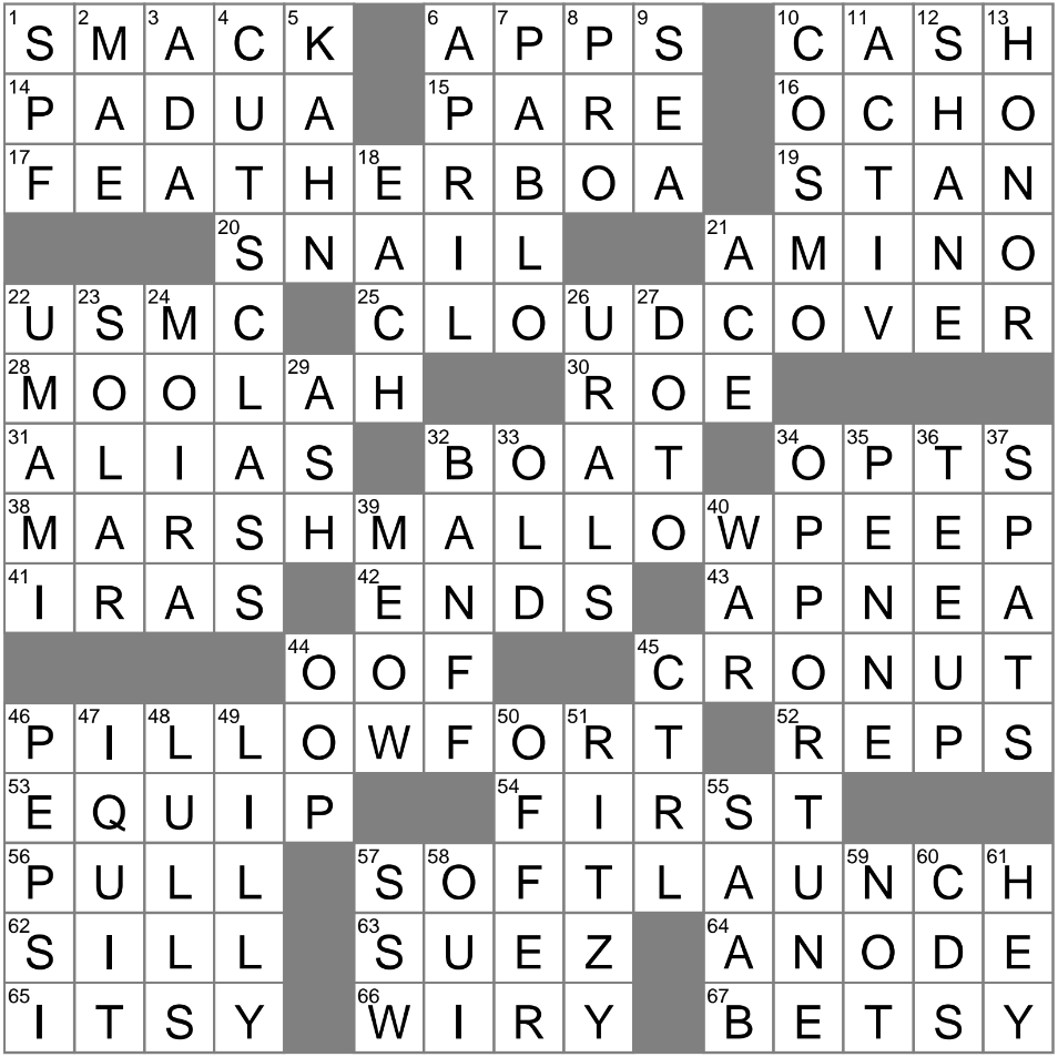 Hybrid Pastry Since 2013 The Crossword Clue That Revived A Culinary Art Saint Augustines University