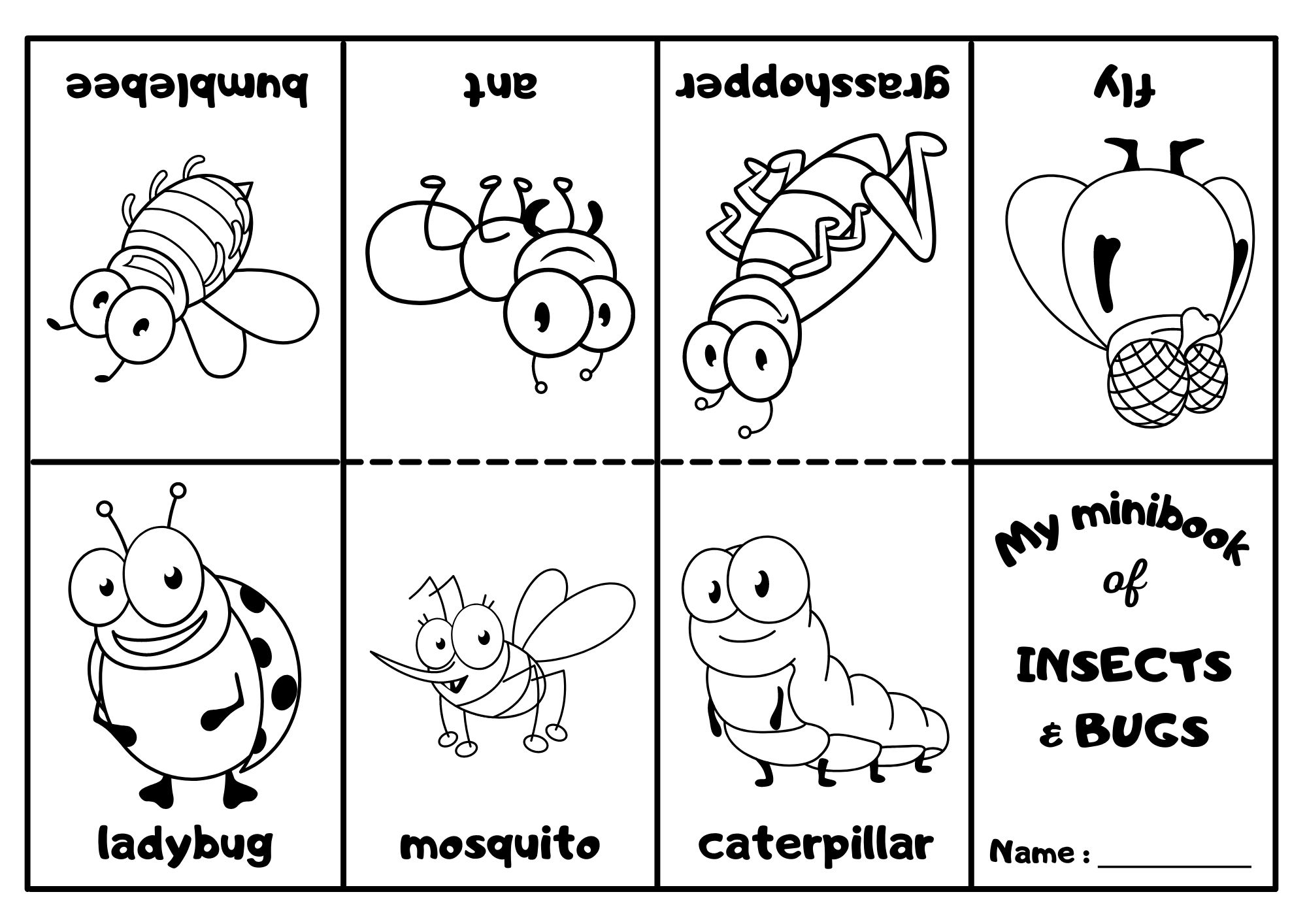 Insects And Bugs Mini Coloring Book Ezpzlearn Insects And Bugs Mini Coloring Book Ezpzlearn
