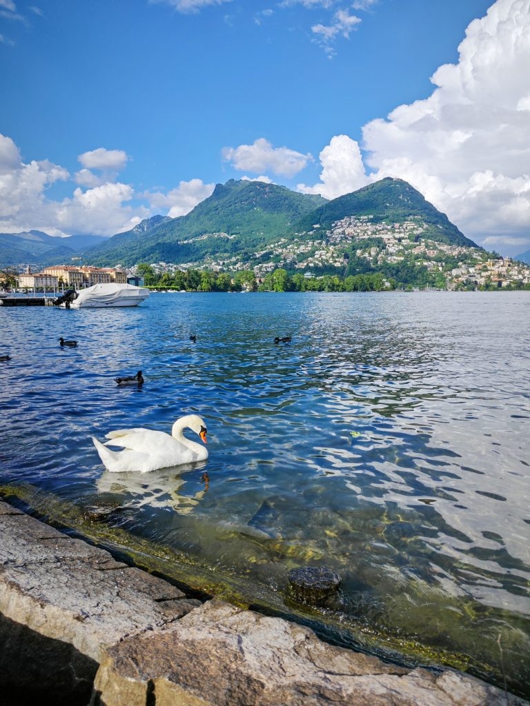 Introduction To All 26 Switzerland Cantons Introduction To All 26 Switzerland Cantons