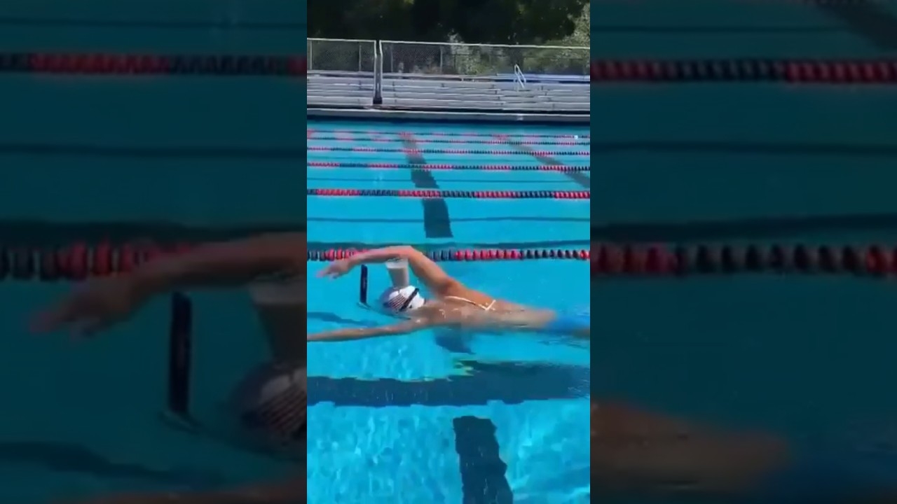 humphrey the beanie baby for one crossword