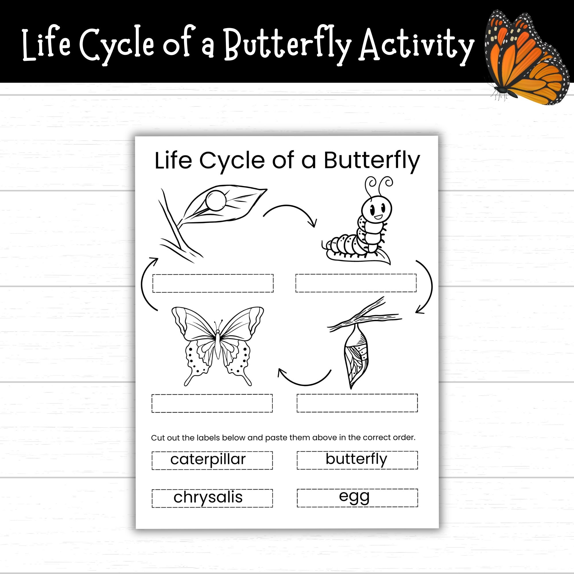 Life Cycle Of A Butterfly Cut And Paste Activity Printable Butterfly Life Cycle Coloring Page Life Cycle Of A Butterfly Coloring Pages Etsy Life Cycle Of A Butterfly Cut And Paste Activity Printable Butterfly Life Cycle Coloring Page Life Cycle Of A Butterfly Coloring Pages Etsy