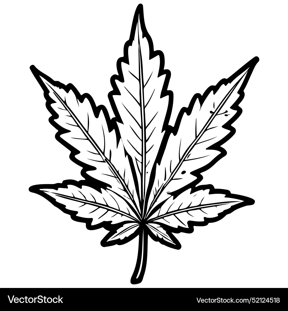 Line Cartoon Weed Leaf Drawing Outline Royalty Free Vector VectorStock