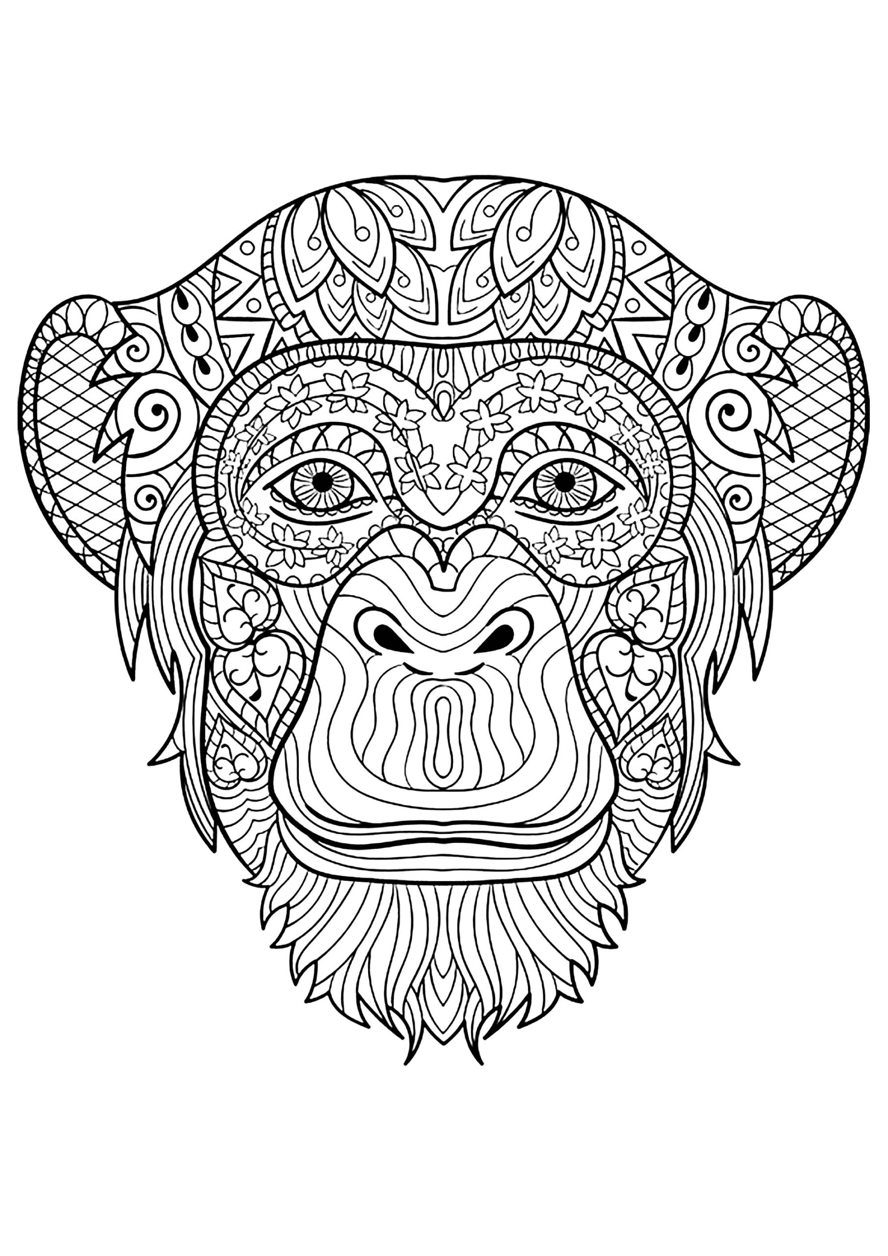 coloring sheets of monkeys coloring sheets of monkeys
