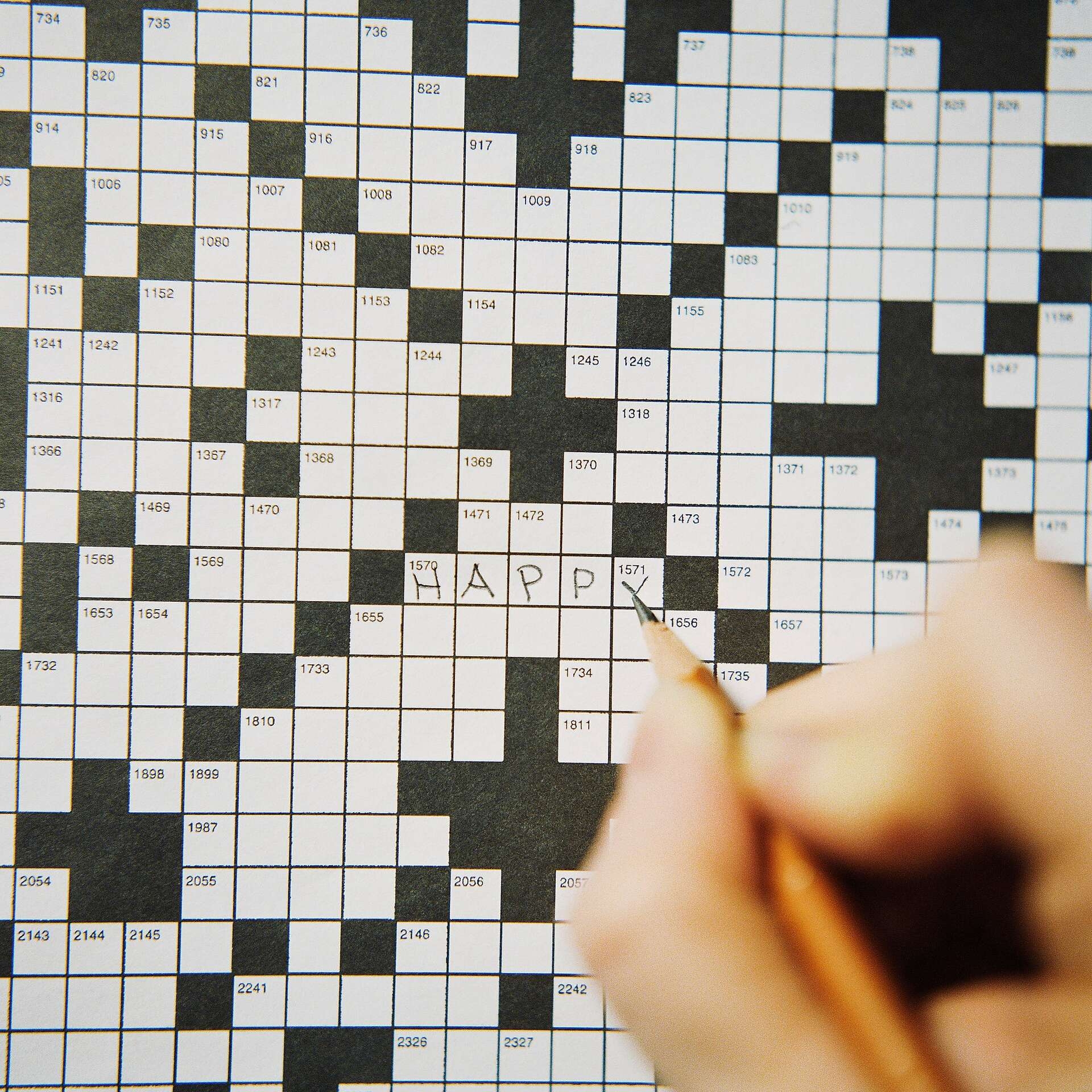 Museum Crossword Art Defaced When Visitor 91 Fills In Blanks