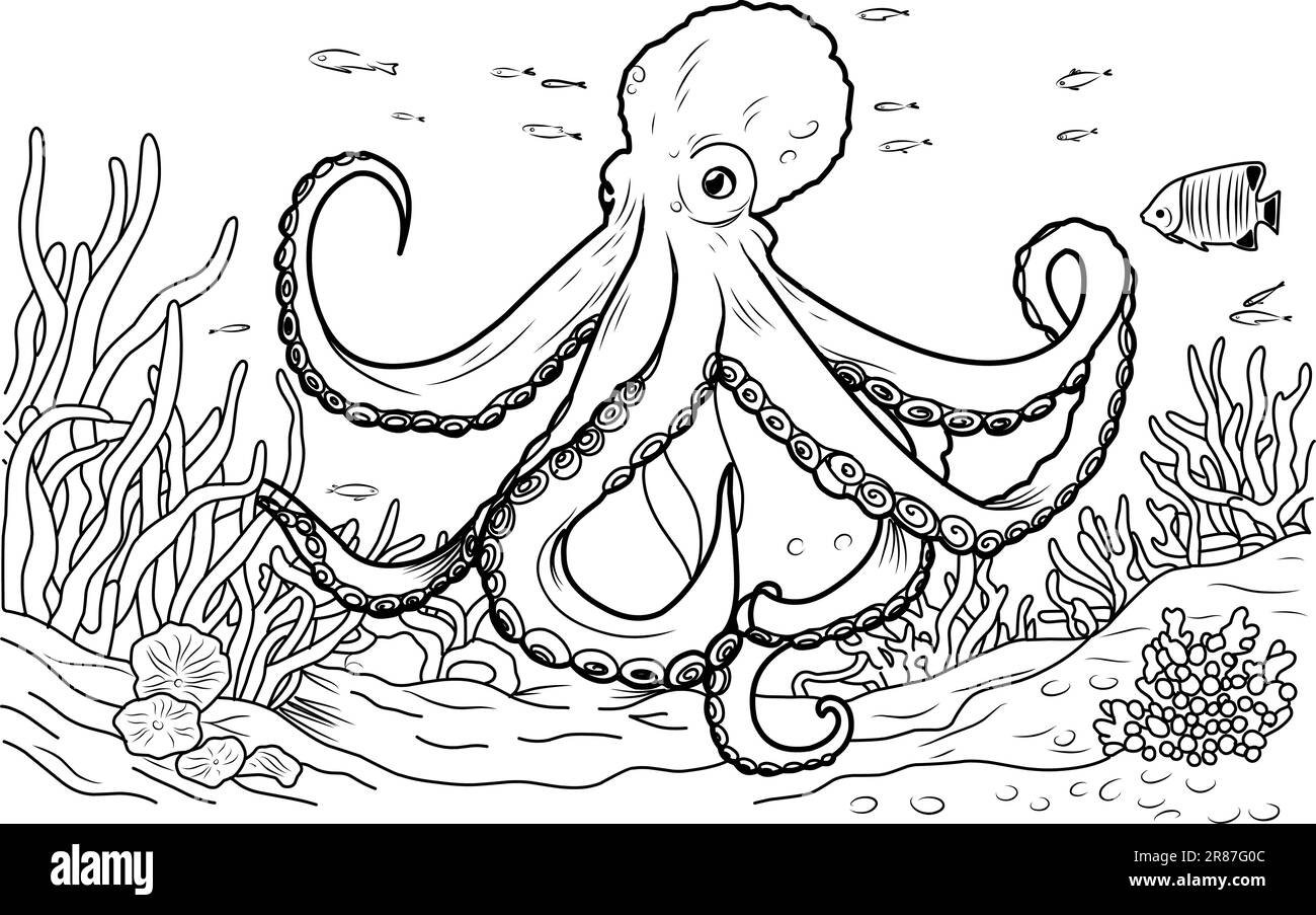 Octopus Coloring Book Coloring Page Simple Line Illustration Of Octopus And Underwater World Stock Vector Image Art Alamy Octopus Coloring Book Coloring Page Simple Line Illustration Of Octopus And Underwater World Stock Vector Image Art Alamy