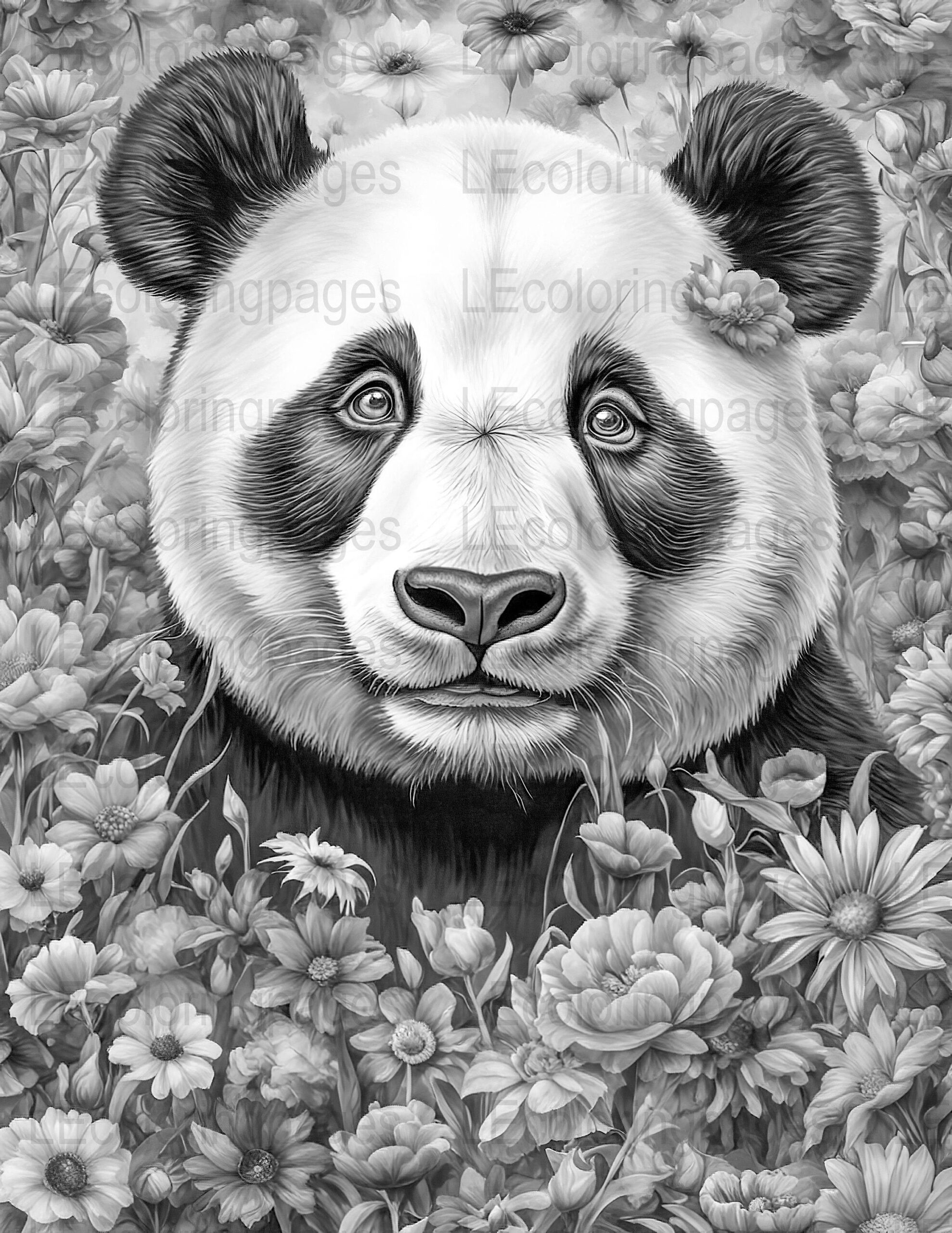 panda bear coloring pages panda bear coloring pages