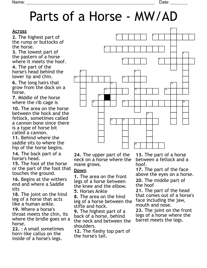 Parts Of A Horse MW AD Crossword WordMint Parts Of A Horse MW AD Crossword WordMint