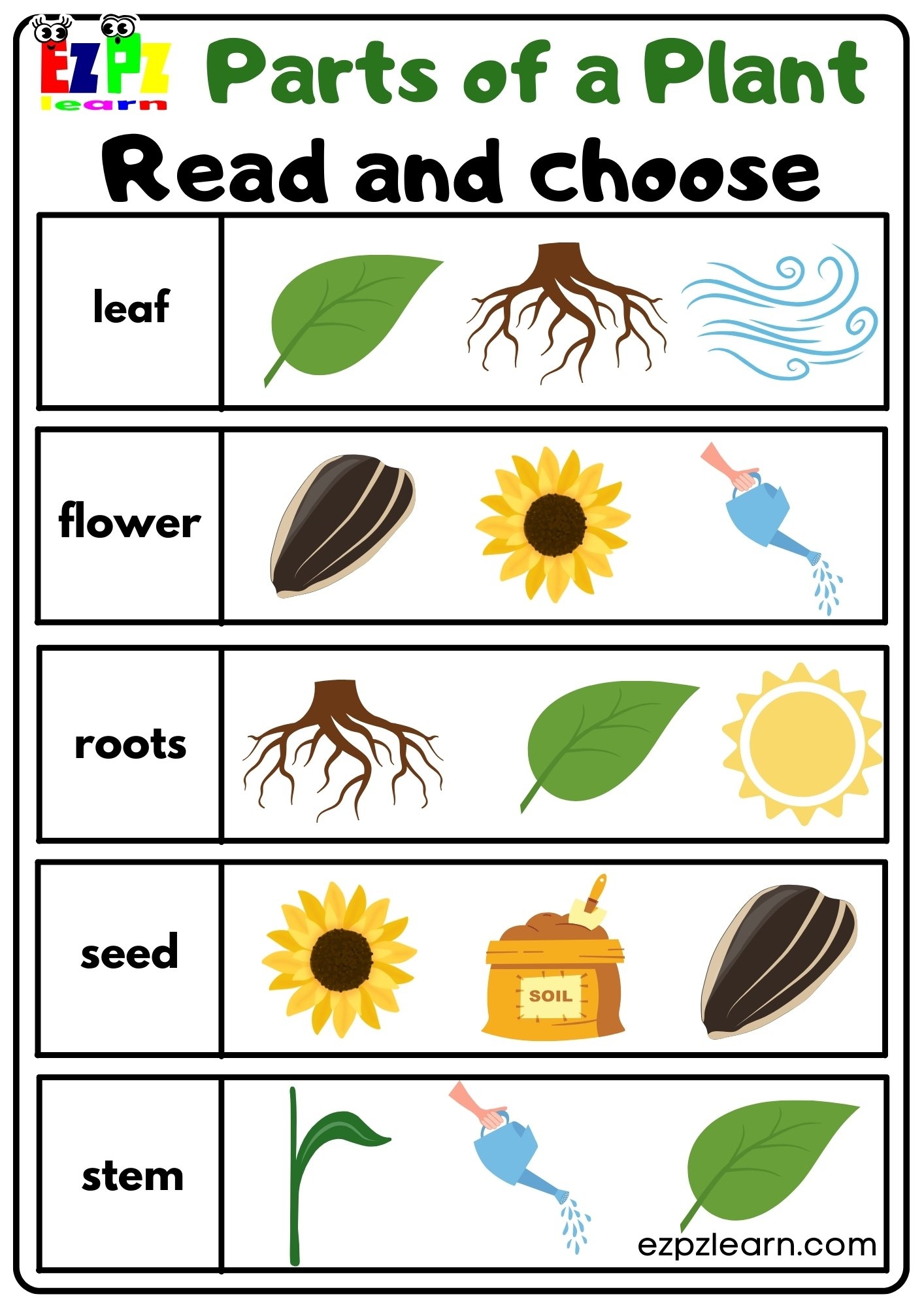 Parts Of A Plant Read And Choose Worksheet For Kindergarten Or ESL Students Free Printable PDF Download Ezpzlearn