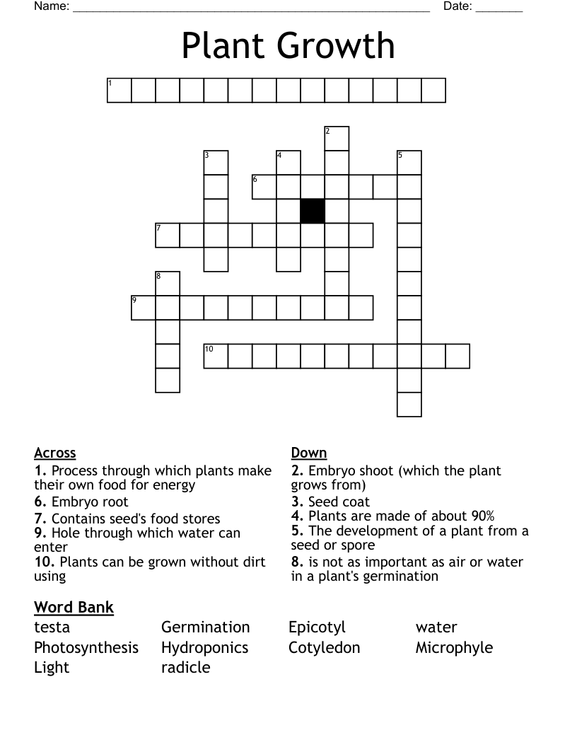Plant Growth Crossword WordMint