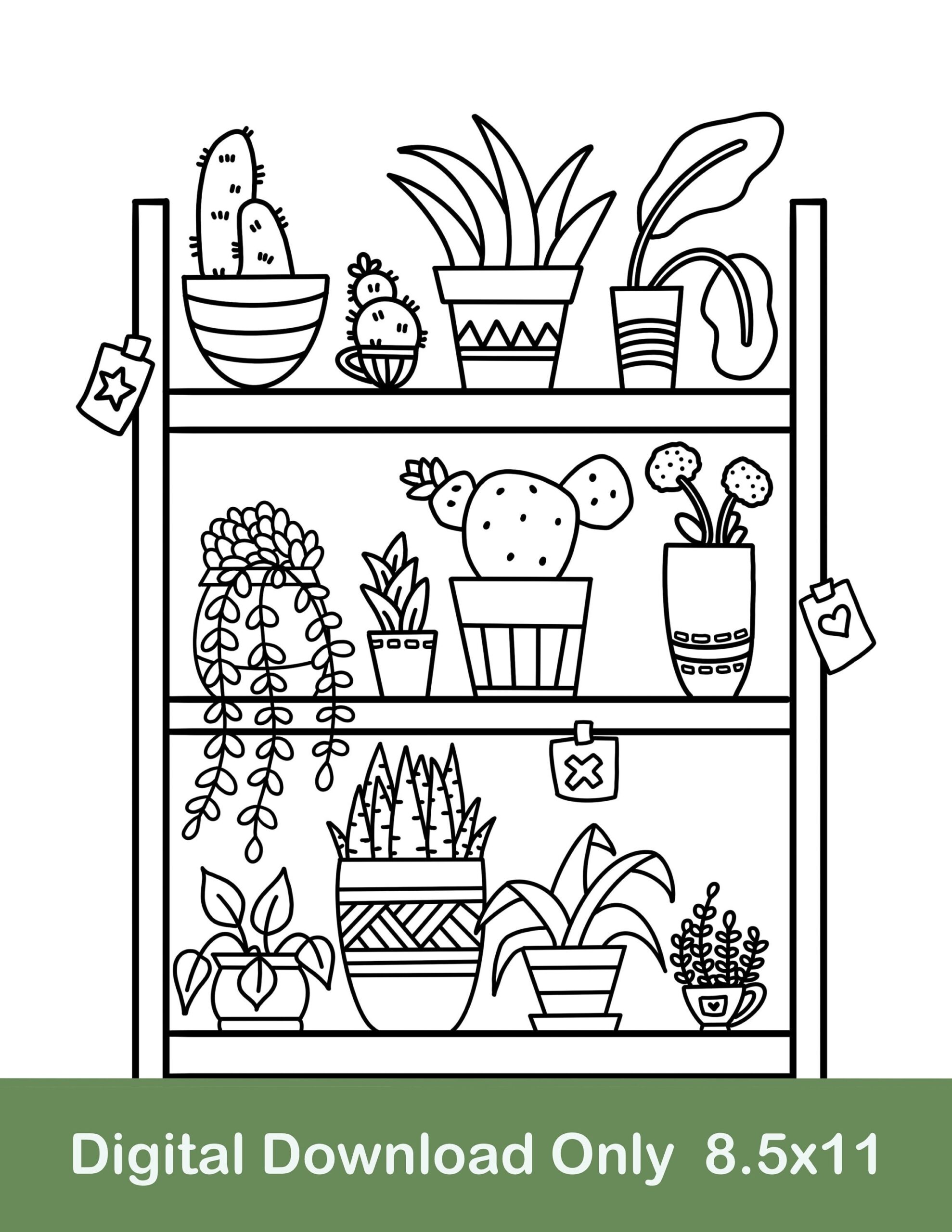 Plant Shelf Coloring Page Cactus Potted Plants digital Download Etsy