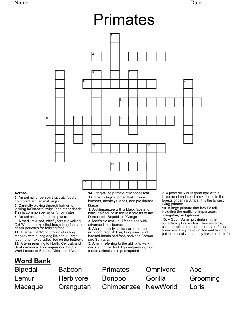small monkey crossword clue