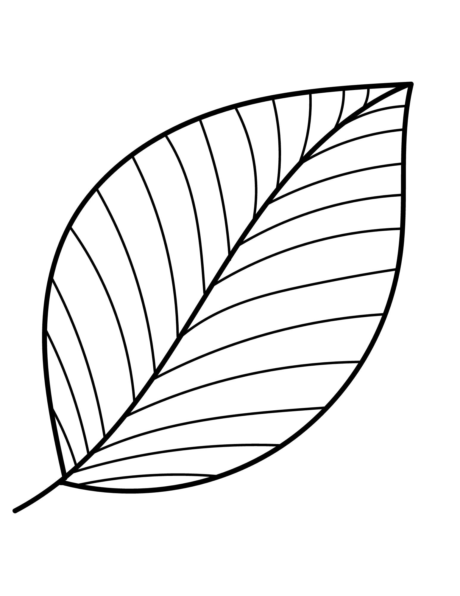 Printable Leaf Outline Templates Crafty Morning