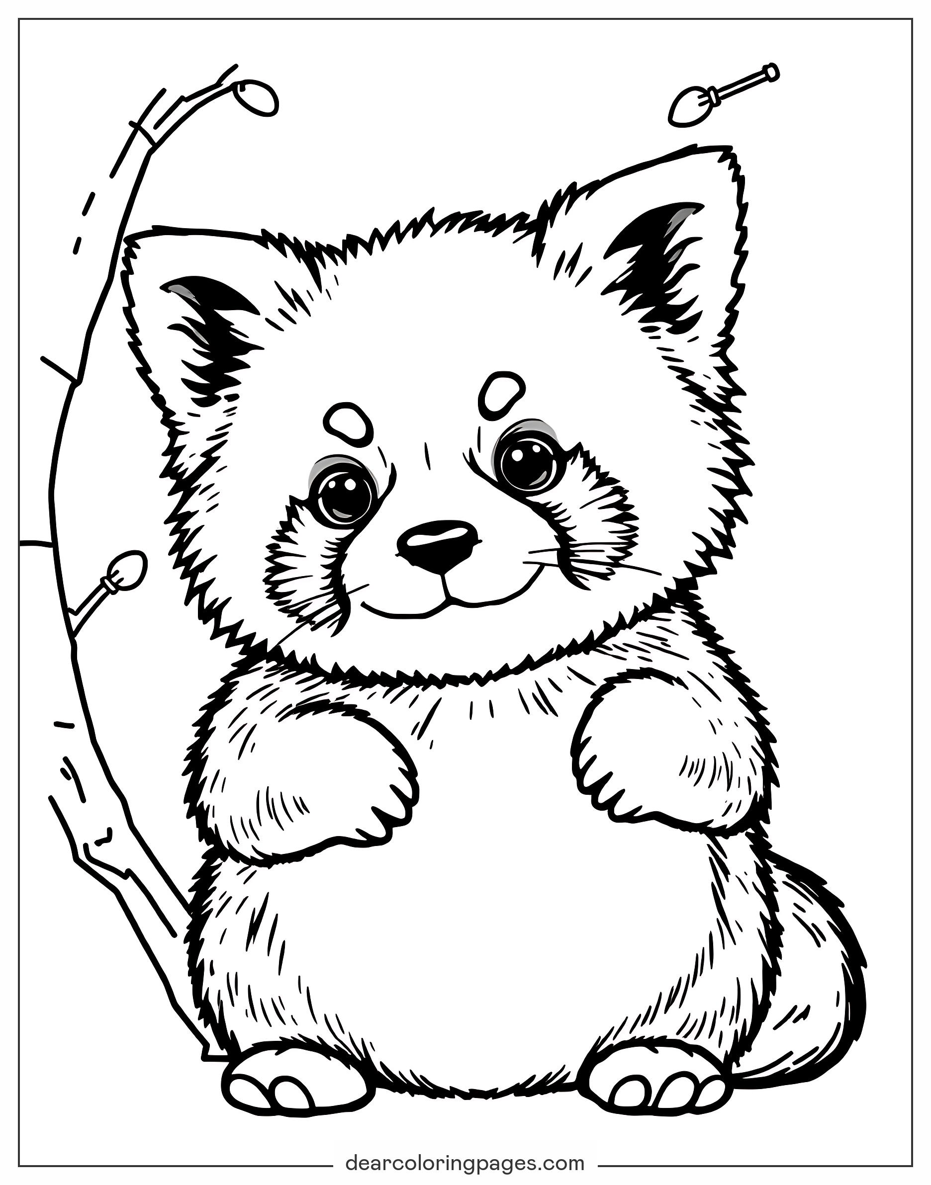 Red Panda Coloring Pages 11 Free Printable Coloring Pages Red Panda Coloring Pages 11 Free Printable Coloring Pages