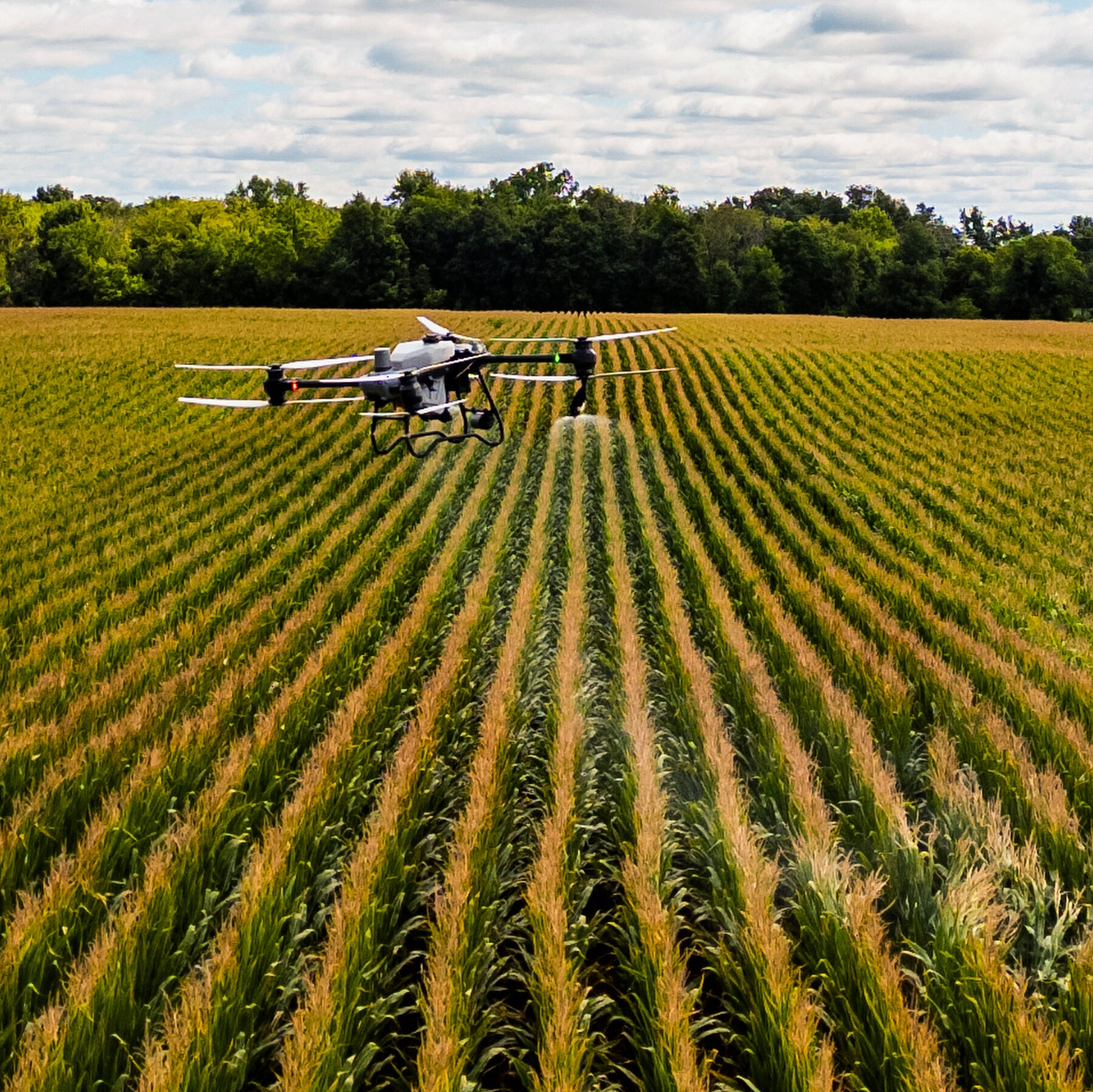 Satellites And Drones Are Unlocking Benefits Hidden In Plain Sight In Michigan The New York Times