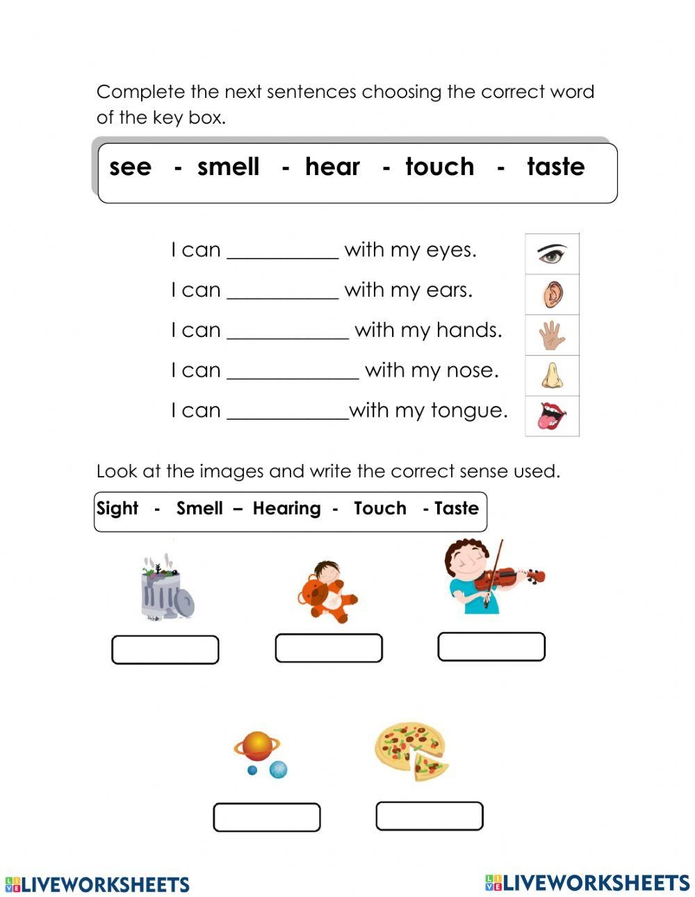 Science Grade 2 Week 20 Worksheet Worksheets Library Science Grade 2 Week 20 Worksheet Worksheets Library