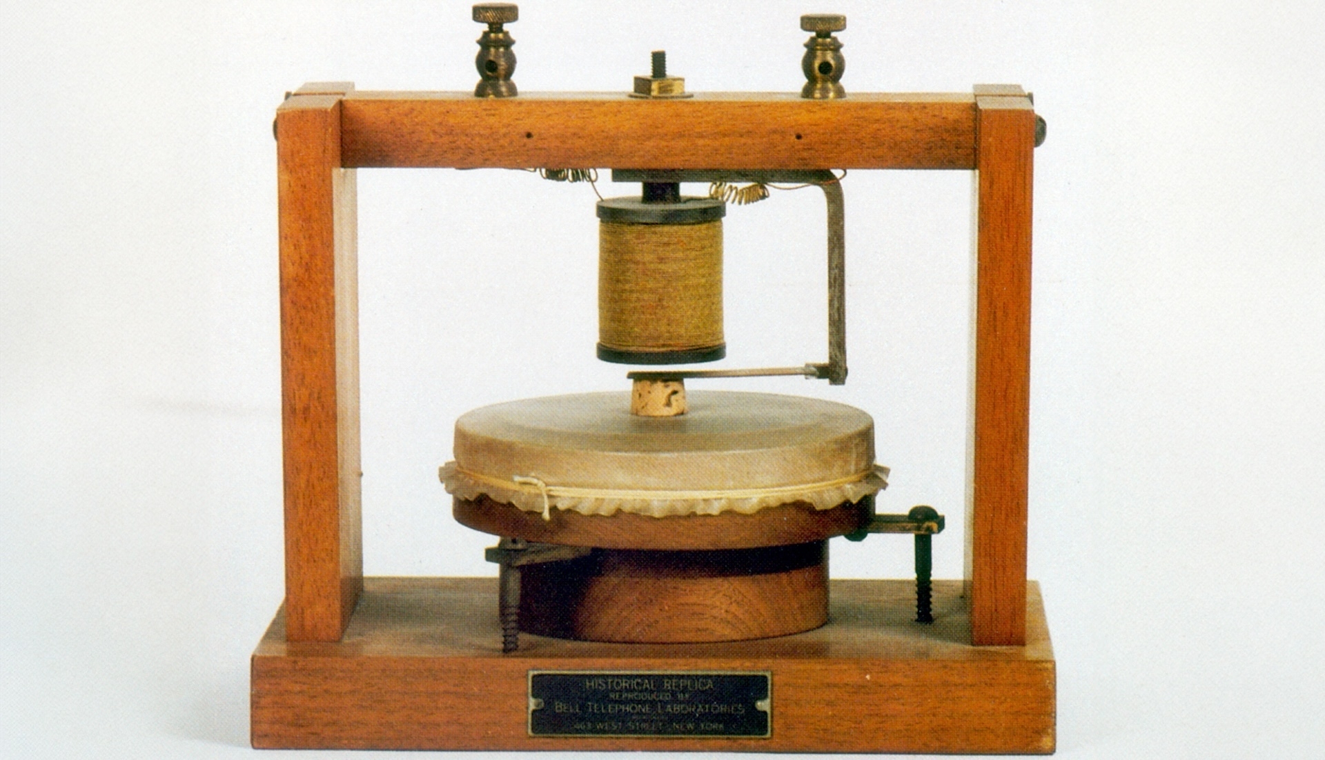 brain signal transmitter crossword clue