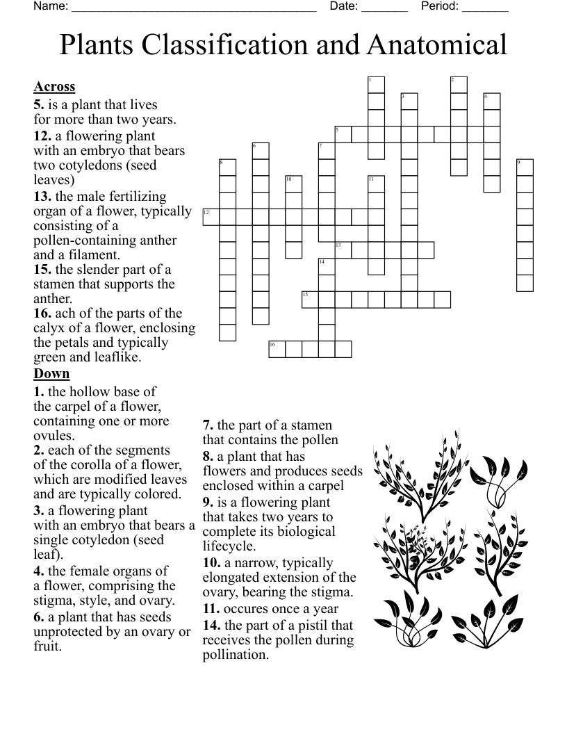 Seed Germination Crossword WordMint