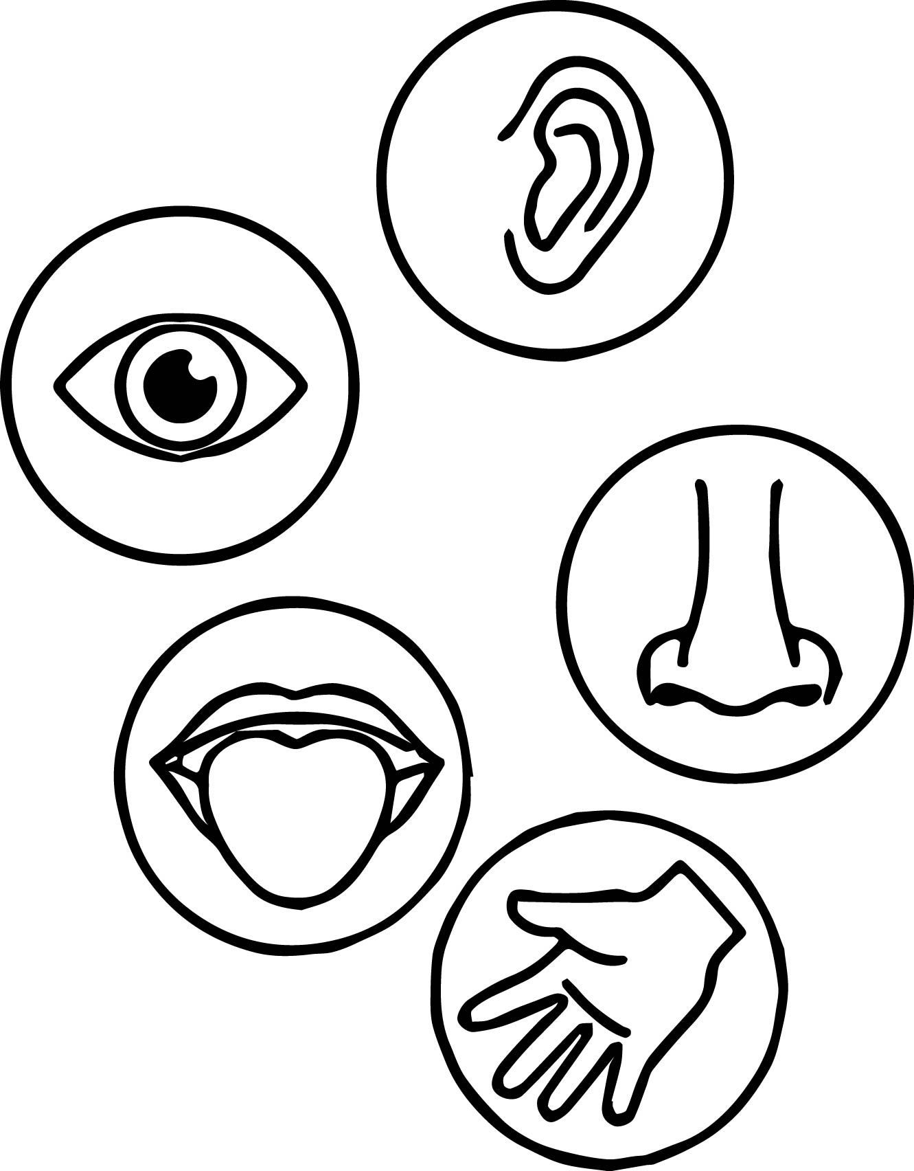 5 senses coloring pages