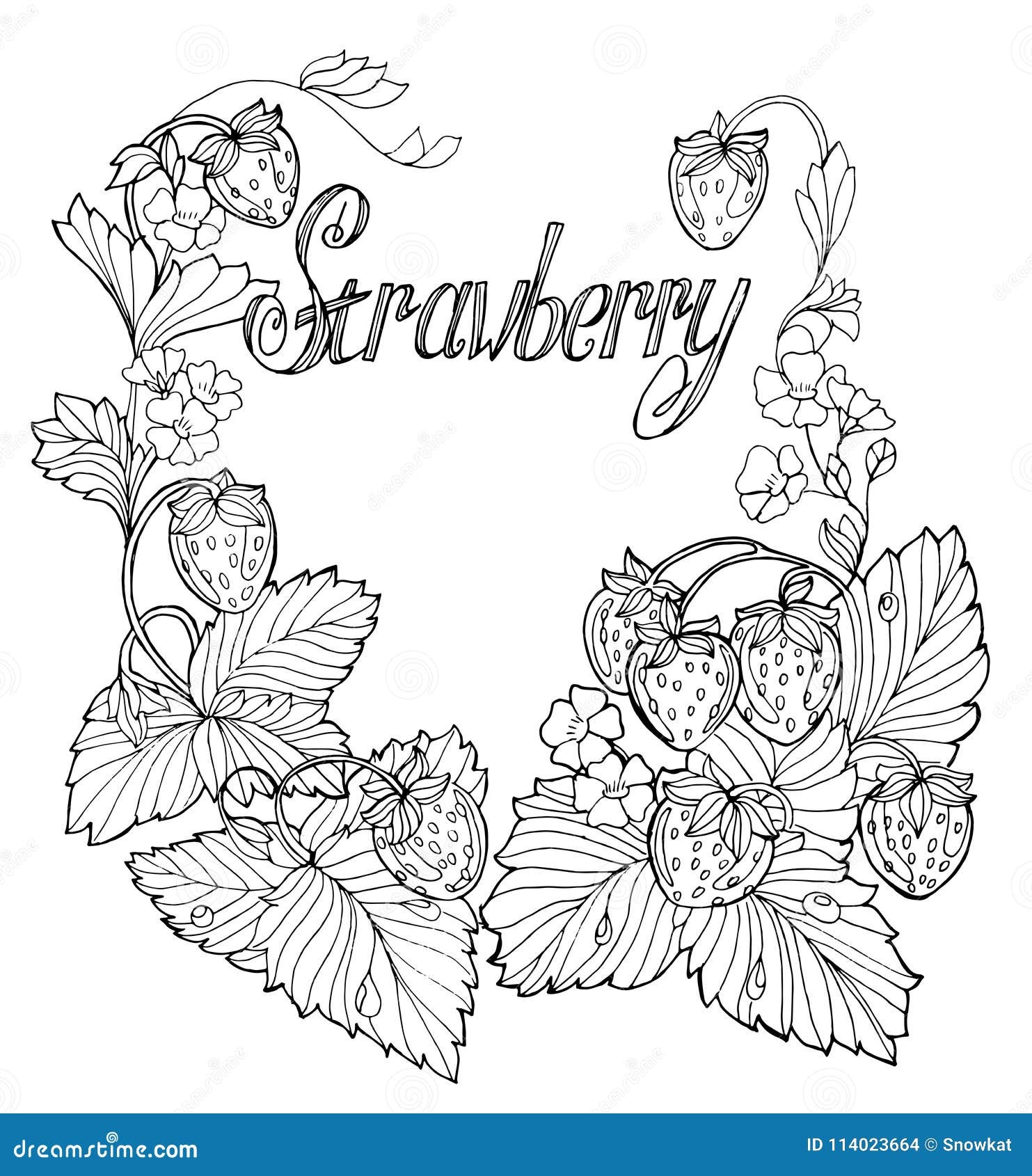 Set Of Outline Drawings Of Strawberries Stock Vector Illustration Of Food Flower 114023664