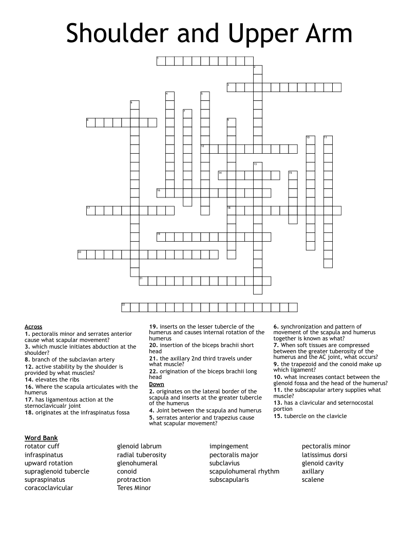 Shoulder And Upper Arm Crossword WordMint