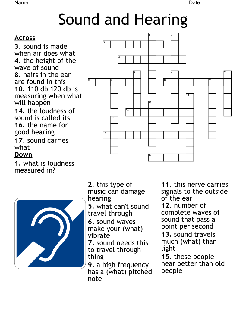 Special Senses Project The Ear Crossword WordMint