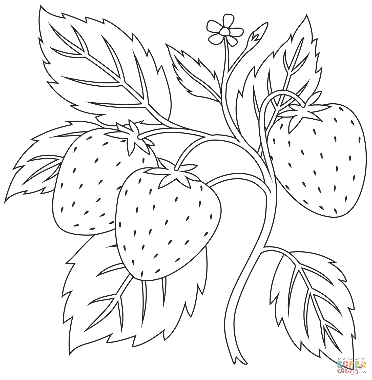 coloring picture of a strawberry