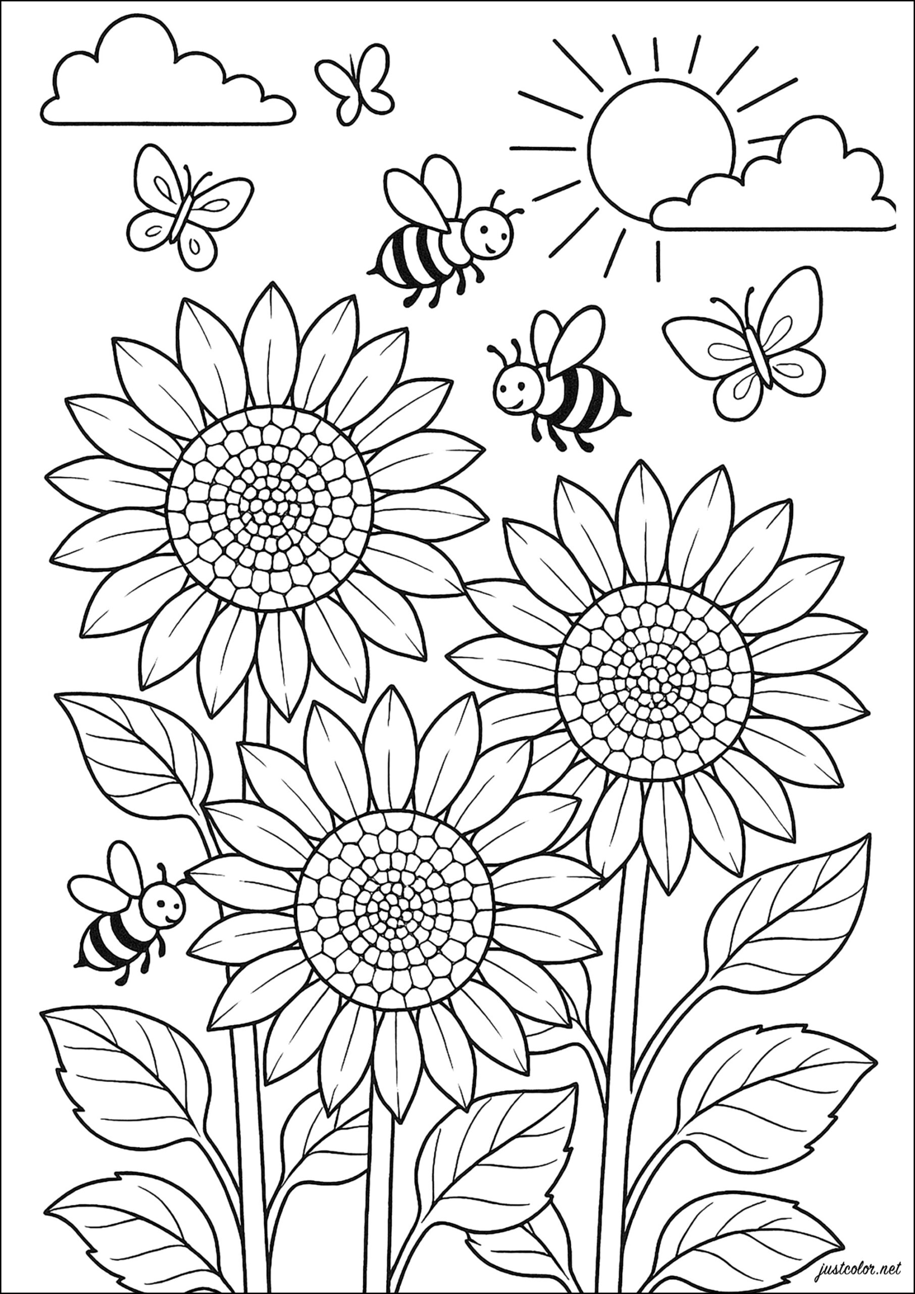coloring picture of a sunflower coloring picture of a sunflower