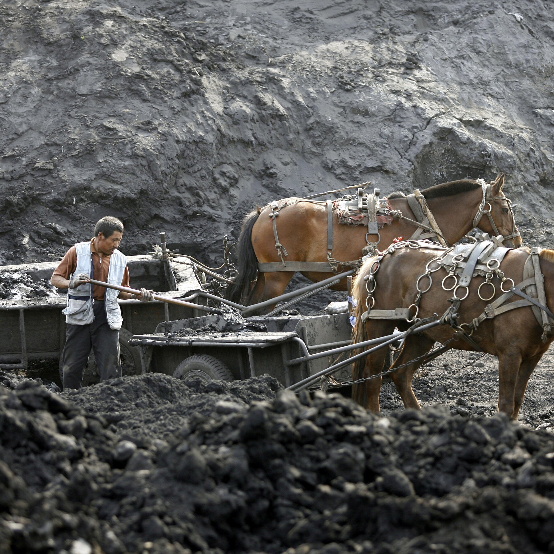 Supporting Elements In A Story The New York Times