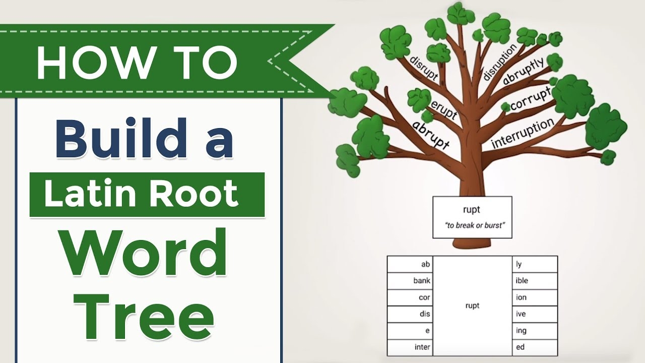 Teach Latin Roots With Word Trees Free Download And Video Teach Latin Roots With Word Trees Free Download And Video