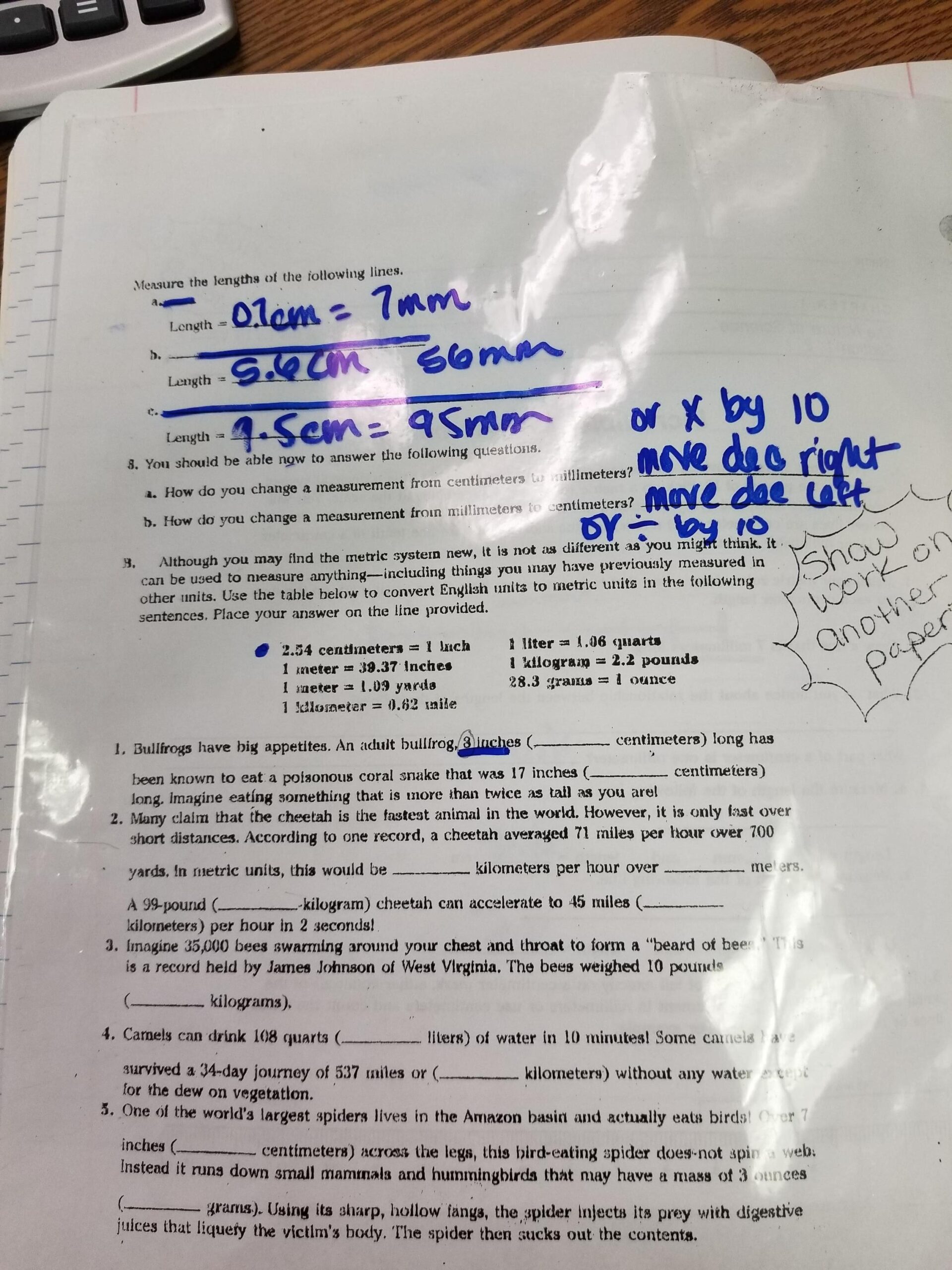 Temescal Canyon High School