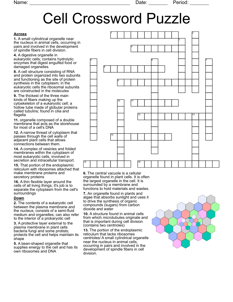 The Cell Crossword WordMint