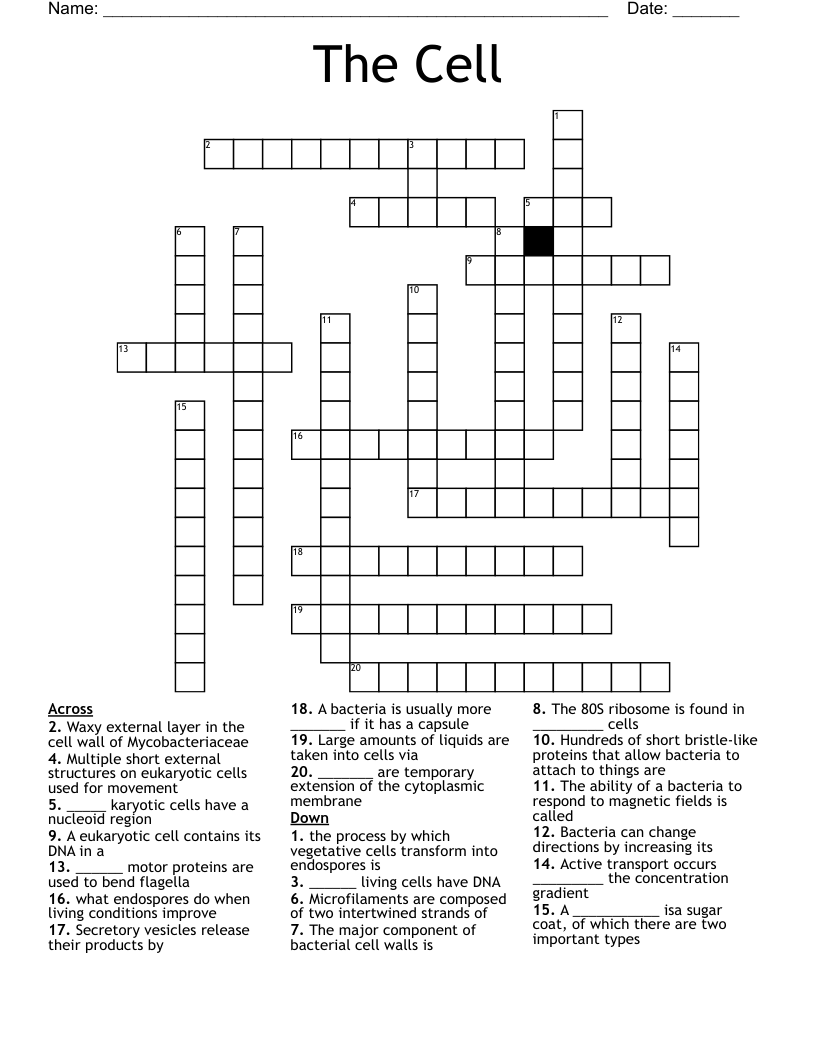 The Cell Crossword WordMint