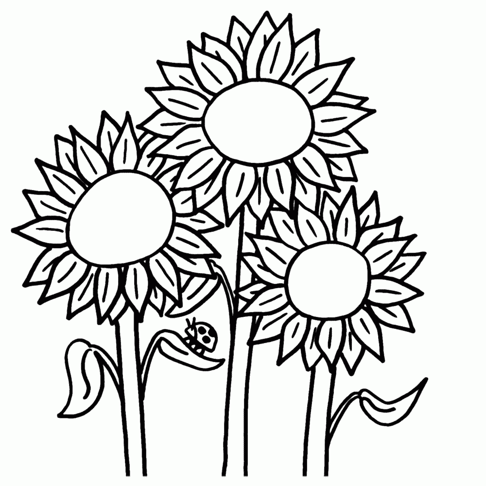 Thousands Of Printable Coloring Pages Books 100 FREE Thousands Of Printable Coloring Pages Books 100 FREE