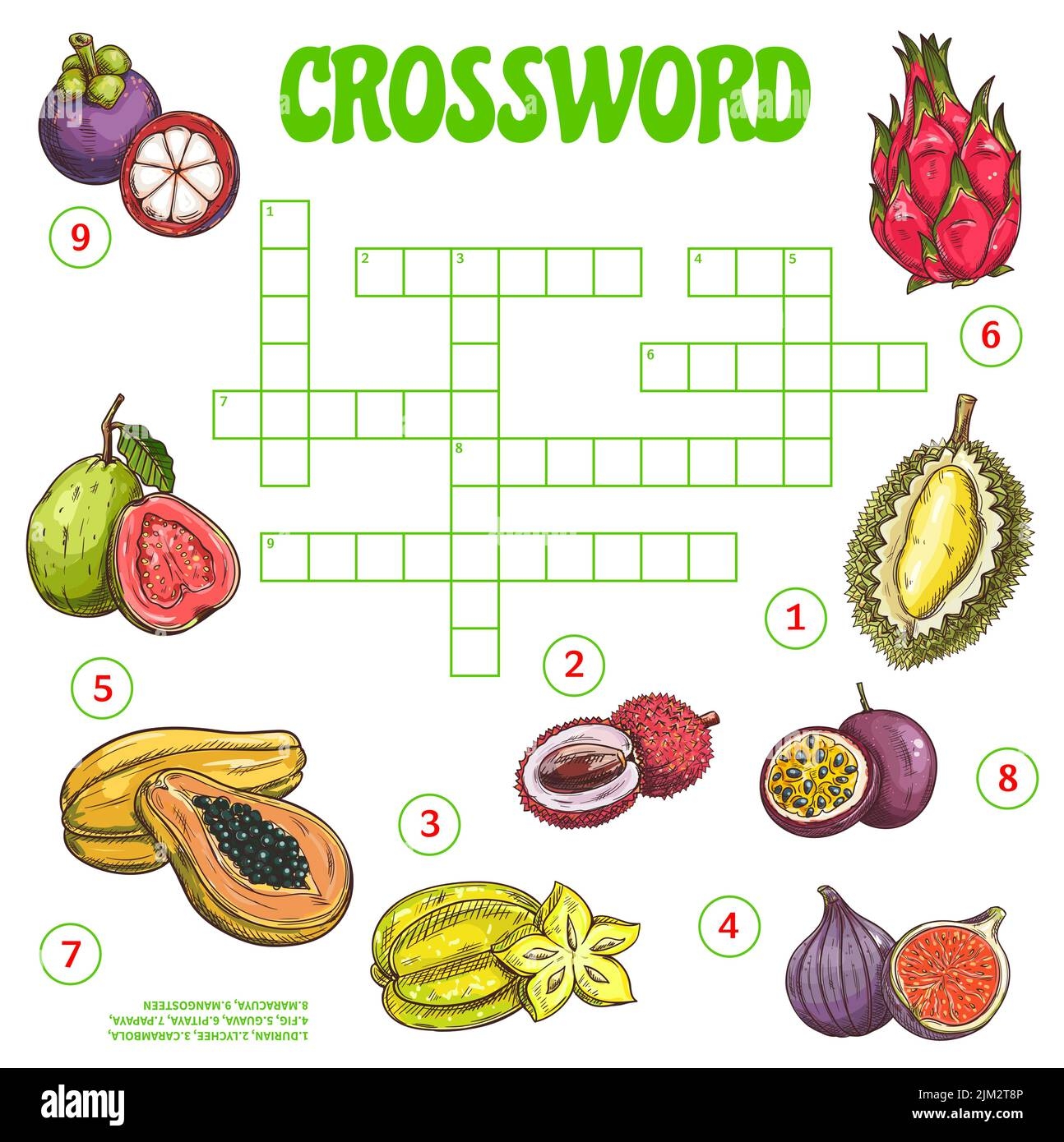 Tropical Raw Fruits Crossword Grid Worksheet Find A Word Vector Quiz Game Crossword Puzzle With Names Of Exotic Berries Fill In Squares Riddle With Stock Vector Image Art Alamy Tropical Raw Fruits Crossword Grid Worksheet Find A Word Vector Quiz Game Crossword Puzzle With Names Of Exotic Berries Fill In Squares Riddle With Stock Vector Image Art Alamy