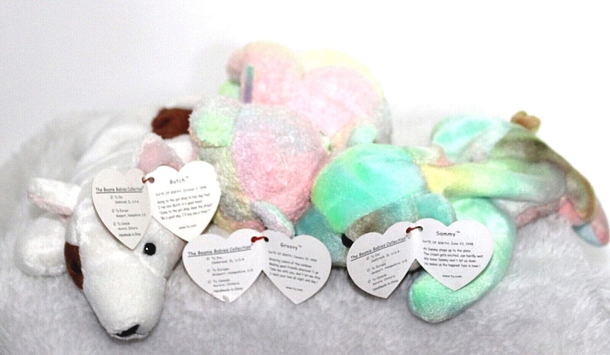 iggy the beanie baby for one crossword