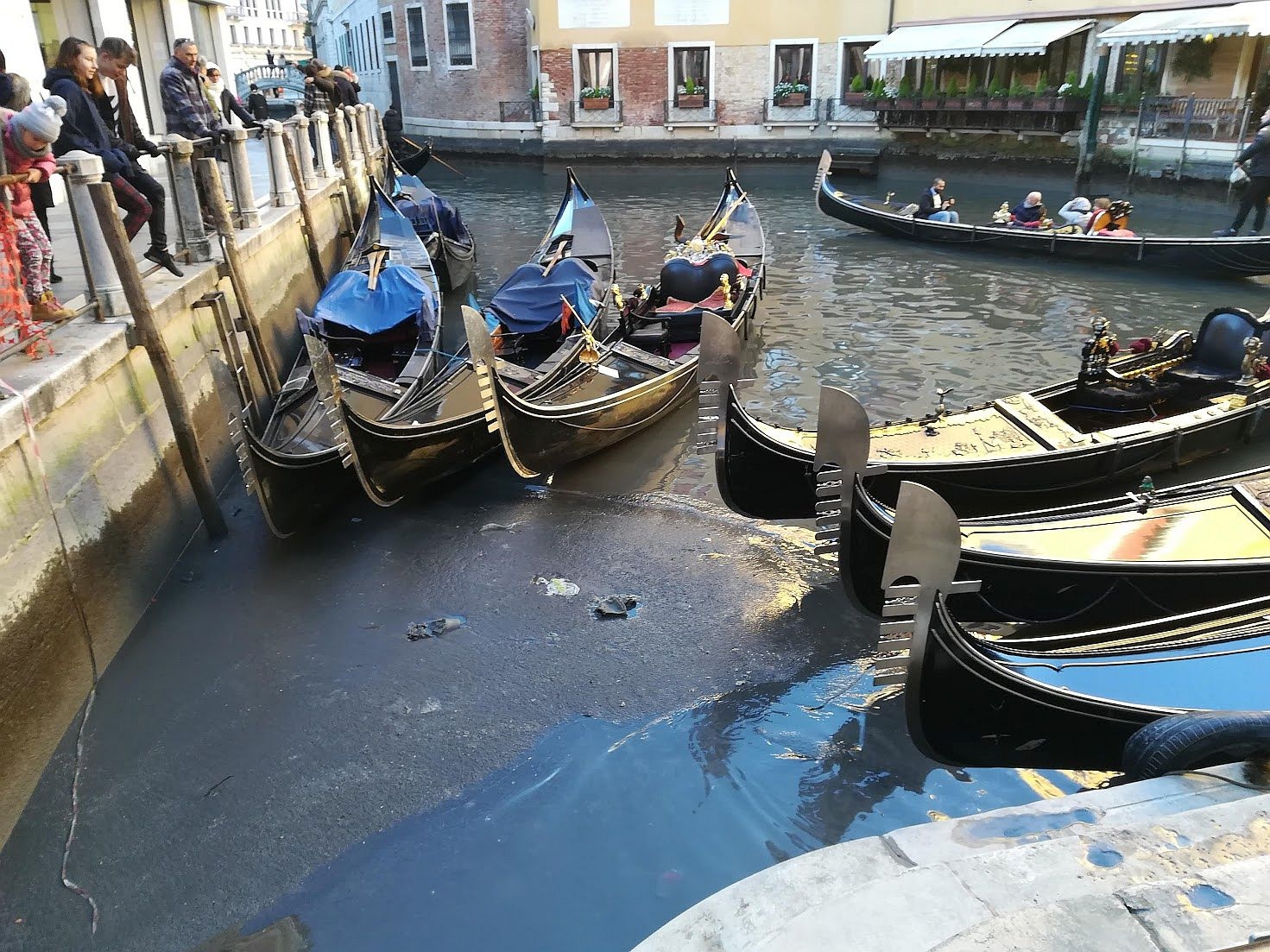 venice's patron crossword venice's patron crossword