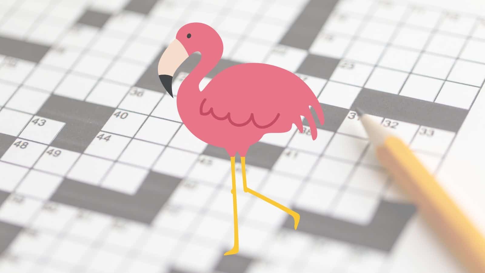 crossword clue for wading bird crossword clue for wading bird