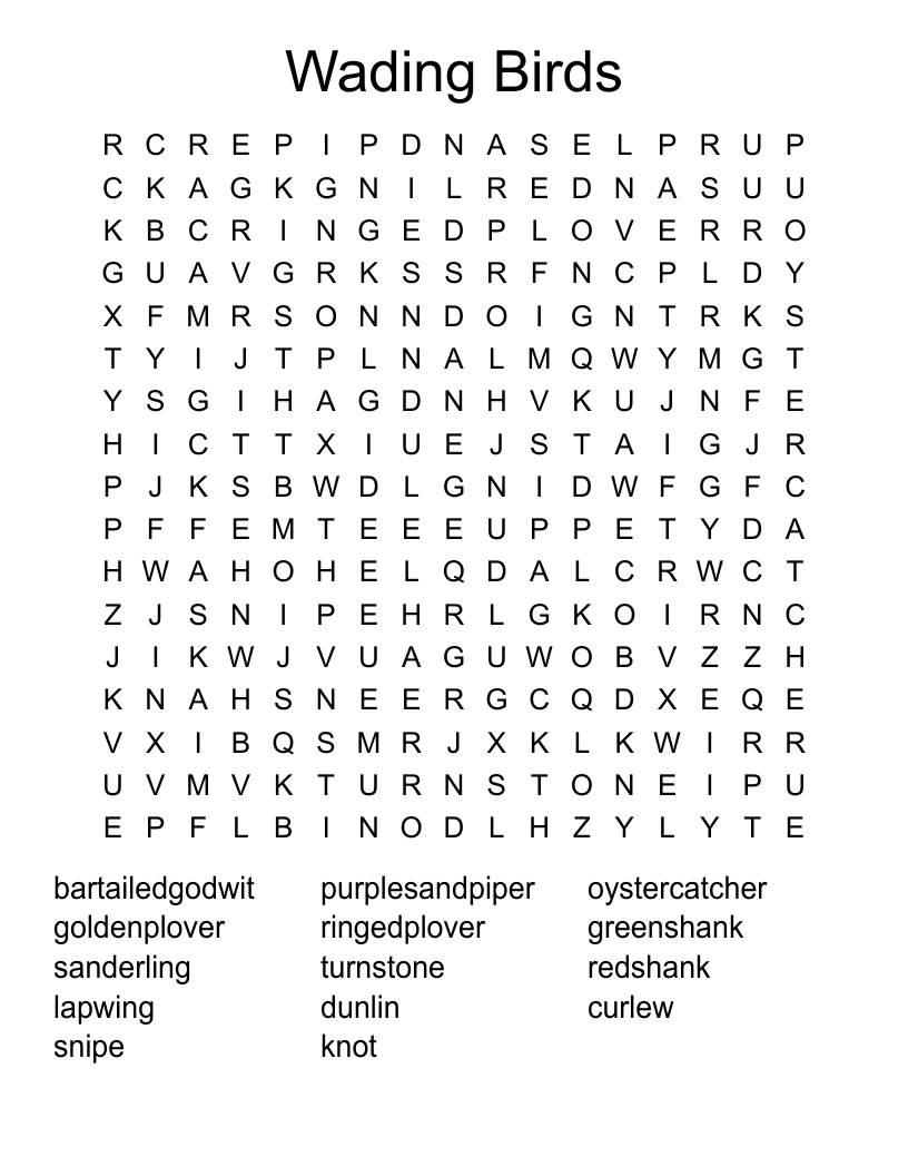 Wading Birds Word Search WordMint
