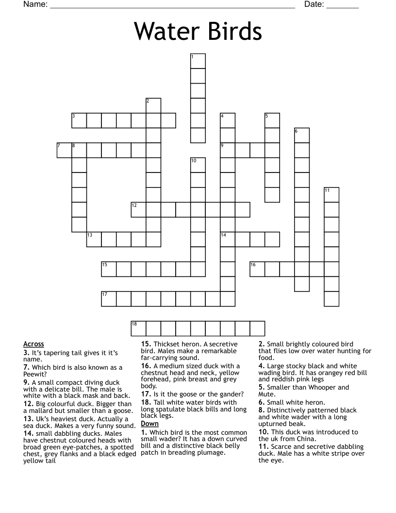 Water Birds Crossword WordMint Water Birds Crossword WordMint